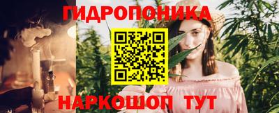 дмт Севастополь